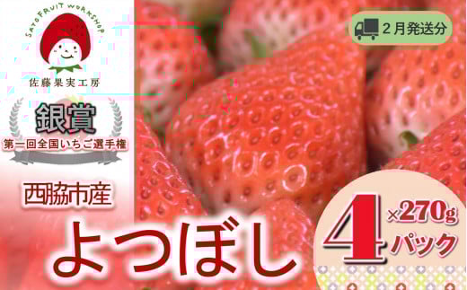 《2026年産先行予約》「西脇市産 佐藤果実工房のよつぼし」(約270g×4パック 約1,080g)【佐藤果実工房 全国いちご選手権銀賞受賞農園 TVで紹介!】令和8年2月下旬配送分(12-42)兵庫県西