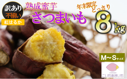 Ny󂠂zn ytӂ낢܂u܂vM`STCY vWkgi05-64j  ܂ Tc}C ܈ n  Â lC  Ղ蕺