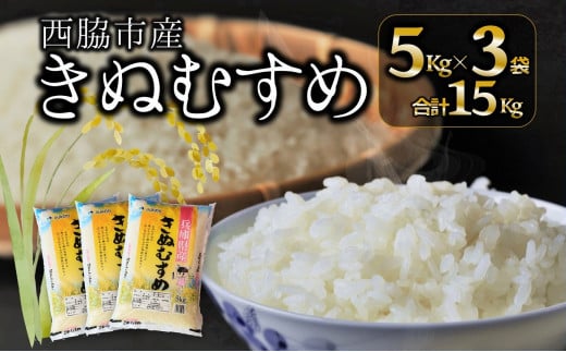 【ブランド米 きぬむすめ】精米15kg(5kg×3)(29-12)兵庫県西脇市29000米・パン白米