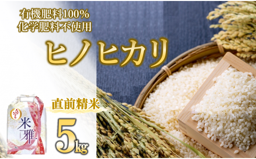 【新米先行予約】令和7年産 新米 ヒノヒカリ 5kg 白米【11月上旬〜順次発送】精米 直前精米 新米 化学肥料不使用 有機米 お米 こめ コメ ひのひかり 人気 兵庫県産 精米(12-46)兵庫県西脇