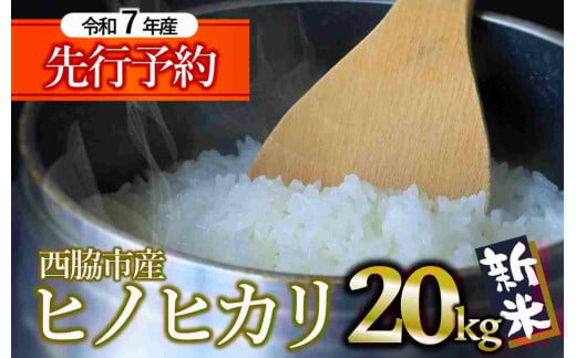 【新米先行予約】ヒノヒカリ 20kg 白米 令和7年産 (58-17) 米 お米 こめ コメ ヒノヒカリ ひのひかり 人気 白米 兵庫県産 20kg 精米兵庫県西脇市58000米・パン白米