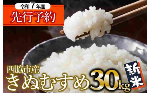 【新米先行予約】きぬむすめ 30kg 白米 令和7年産 (87-13) 米 お米 こめ コメ 人気 西脇市産 精米兵庫県西脇市87000米・パン白米