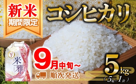 【新米】コシヒカリ 5kg 白米【10営業日以内発送】令和7年産(14.5-1) 精米 直前精米 新米 化学肥料不使用 有機米 お米 こめ コメ こしひかり 人気 兵庫県産 精米兵庫県西脇市14500米・パン白