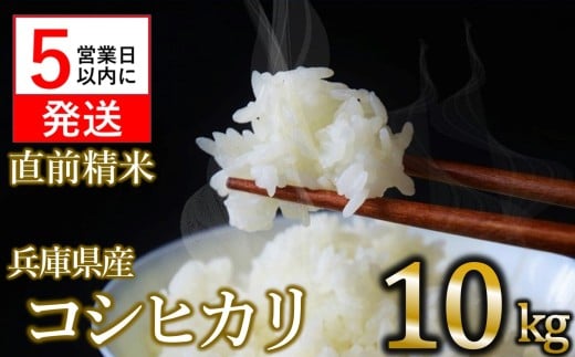 【スピード発送】【数量限定】令和6年産 コシヒカリ 10kg 白米  (24-20) 米 お米 10kg 米10kg 兵庫県産 こしひかり コシヒカリ 西脇市産 令和6年産 R6年産 2024年産 精米兵庫県西脇市24000米・パン白