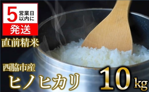 【スピード発送】【数量限定】令和6年産 ヒノヒカリ 10kg 白米  (22-65) 米 お米 10kg 米10kg 兵庫県産 ひのひかり ヒノヒカリ 西脇市産 令和6年産 R6年産 2024年産 精米兵庫県西脇市22000米・パン白