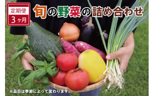 ★レビューキャンペーン対象★旬の野菜 詰め合わせ 6〜7品以上 連続3か月 【 定期便 】 おまかせ セット 産地直送 新鮮 野菜 季節の野菜 旬 直売所 直送 連続 新鮮 ja1三重県明和町16000野菜・