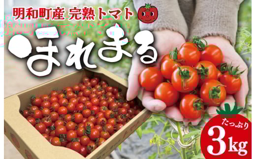 aY n g}g ق܂ 3kg ~jg}g ̂ VN N  Oda15000؁Êg}g