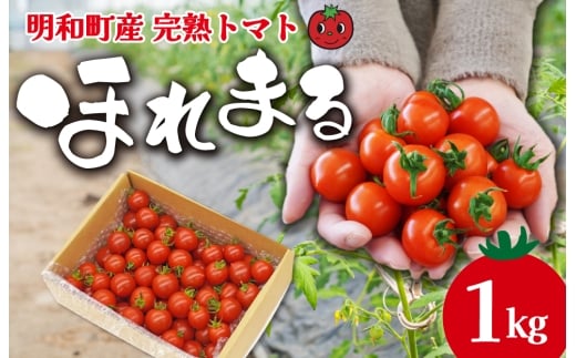 ★レビューキャンペーン対象★明和町産 完熟 トマト ほれまる 1kg ミニトマト 朝採り 新鮮 生鮮 野菜 あっさり三重県明和町5000野菜・きのこトマト