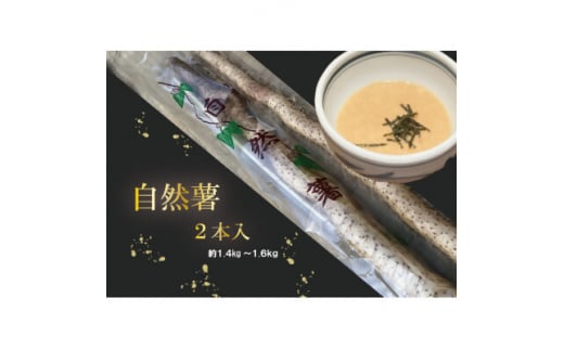 12菇R@2{@1.4kg`1.6kgy1551520zts16000؁Ê卪EjWEؗ