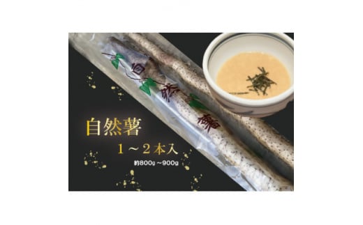 12菇R 1`2{(800g`900g)y1551579zts10000؁Ê卪EjWEؗ
