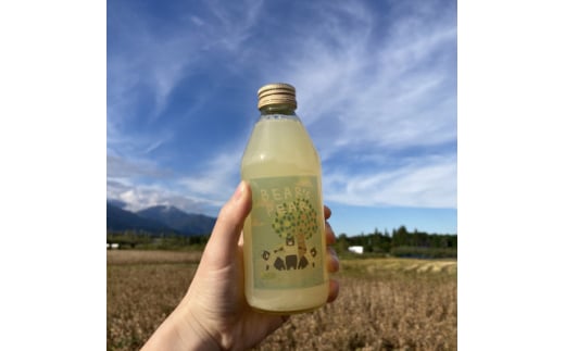 BEAR's PEAR IWiW[X 2 v8{y1566280z쌧ѓ14000Eʏ`E؈