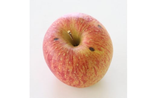 【訳あり品】 長野県産・サンふじ (約10kg) 2026年1月上旬より発送 信州 南信州 高森町 産地直送 果物 くだもの 旬のりんご ご家庭用 山下屋荘介長野県高森町14000果物・フルーツりんご・梨