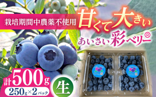 _N6菇^ ʃx[iu[x[ʎj250g×2pbN Yn  u[x[ s / x[LABO [AEBZ002] t[c u[x[ ʕms160