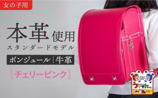 y`F[sNztBbg hZ wv{W[x ̎q {v  񂩂 6Nۏ s / O֐ [AEAN003-5]ms123000ߗށEiEH|iEobO