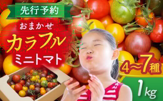 ys\z _N10菇^ ǂ肠₩ Jt~jg}g 1.0kg  ~jg}g T_ s / АΌ_ [AEBG001]ms7000؁Êg}g