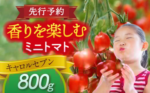 ys\z _N10菇^ ~jg}g(LZu)800g g}g  VN Ԍg}g s / АΌ_ [AEBG005]ms6000؁Êg}g