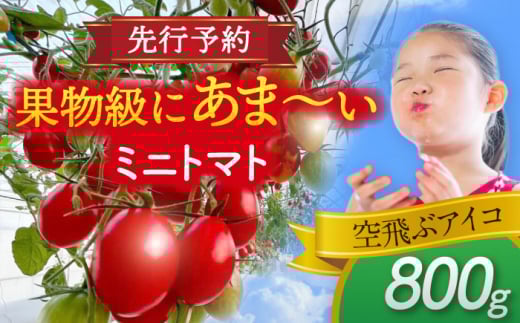 ys\z _N1菇^ ~jg}g(ԃACR)800g g}g  VN Ԍg}g s / АΌ_ [AEBG006]ms6000؁Êg}g