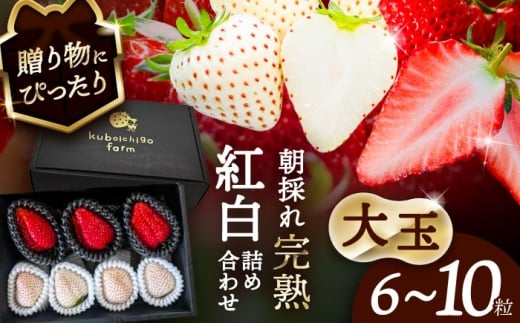 ys\z _N1菇^ qʁr  lߍ킹@gقor悢P×White Fairy ʕ C`S t[c s / 䕔_ yzBsFkCEEz [AECJ019]