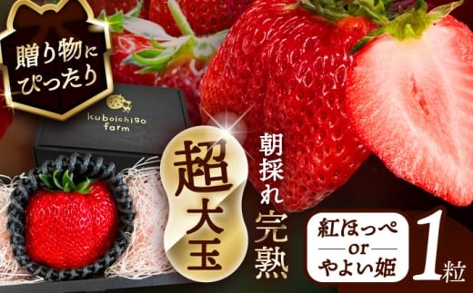 ys\z _N12菇^  gقor悢P 1 ʕ  t[c s / 䕔_ yzBsFkCEEz [AECJ020]ms37000ʕEt[