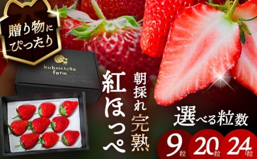 ys\z _N12菇^ gق 20  ʕ t[c s / 䕔_ yzBsFkCEEz [AECJ009]ms12000ʕEt[c