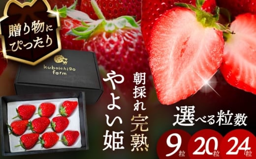 ys\z _N12菇^ 悢P 20  t[c ʕ s / 䕔_ yzBsFkCEEz [AECJ013]ms12000ʕEt[c