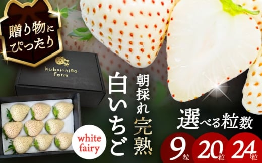 ys\z _N1菇^ @White Fairy 20 s / 䕔_ yzBsFkCEEz [AECJ017]ms16000ʕEt[c