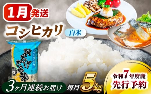  y3ցzy1Jnz RVqJ  5kg×3   5kg 5L    V R  ͂ mY Y Y Y RVqJ Ђ   Iׂ