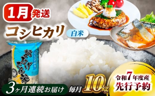米 【3回定期便】【1月発送開始】 コシヒカリ 白米 10kg×3回 米 お米 10kg 10キロ 定期便 白米 精米 新米 コメ ご飯 ごはん 愛知県産 国産 県産米 国産米 コシヒカリ こしひかり 発送 時期 選べる