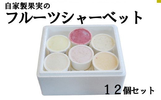 自家生産果実のフルーツシャーベット  12個セット 果物 くだもの 山梨 やまなし 富士川町山梨県富士川町15000菓子・スイーツアイス・ジェラート