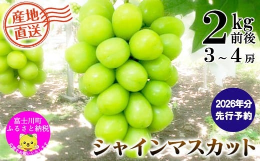 y2026N s\z___ƒI^^є_̃VC}XJbgR`S[i2kgOj@VC }XJbg VC}XJbg Ԃǂ  uhE ʕ  t[c Qk