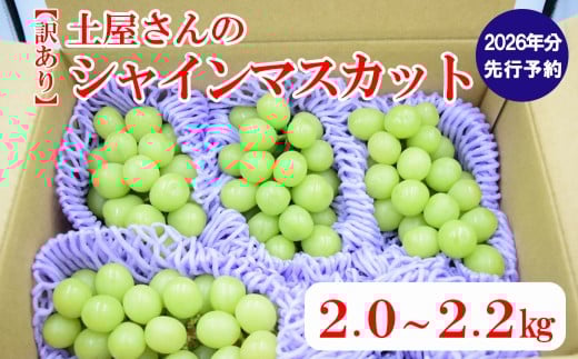 【2026年発送分 先行予約】【訳あり】土屋さんのシャインマスカット(4〜6房程度・2kg〜2.2kg) 訳あり 訳アリ シャイン マスカット フルーツ 果物 くだもの やまなし 山梨 ぶ
