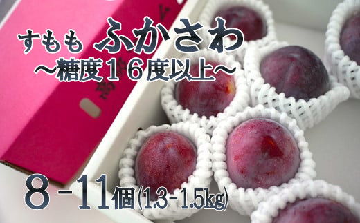 【2025年発送分】【糖度16度以上!】すもも『ふかさわ』(8〜11個入り/約1.3〜1.5kg)スモモ すもも 李 プラム フルーツ 果物 くだもの 山梨 やまなし 富士川町山梨県富士川町13000果物・フルー