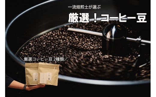 【Specialty Coffee】真庵(まこと)焙煎コーヒー豆(2種類) ※産地はおまかせ コーヒー 珈琲 コーヒー豆 珈琲豆 焙煎 コスタリカ ブラジル グアテマラ コロンビア エチオピア インドネシア
