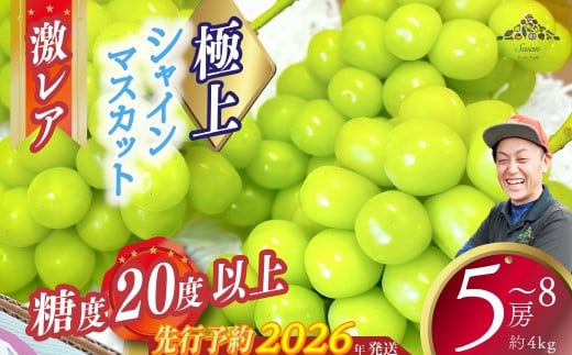 【2026年発送分 先行予約】激レア【糖度20度以上】極上シャインマスカット 4kg以上  フルーツ 山梨県産 果物 シャイン マスカット ぶどう ブドウ 大粒 種なし山梨県富士川町54000果物・フル