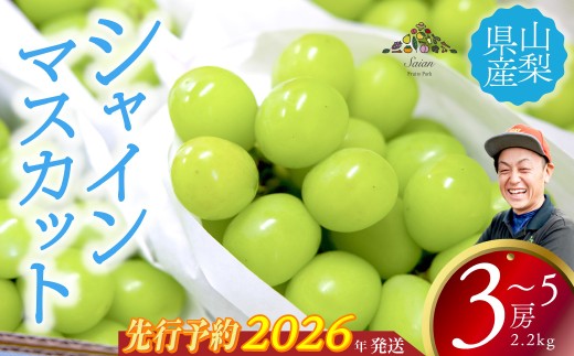 【2026年発送分 先行予約】 シャインマスカット 2.2kg以上(3〜5房) 8月中旬以降発送予定 フルーツ 山梨県産 果物 シャイン マスカット ぶどう ブドウ 大粒 種なし 産地直送  富士川町 先行予