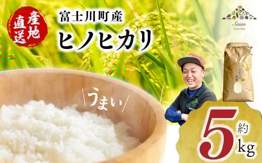 【令和6年度産】富士川町産 ヒノヒカリ 約5kg ひのひかり お米 米 山梨県 山梨 やまなし 富士川町 山梨県産 数量限定 コメ こめ  配送 新生活 白米 精米 おこめ 国産 ご飯 令和6年度産 も