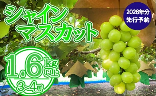 y2026N s\zVC}XJbgiR`S[j 1.6kg`1.7kg@VC }XJbg Ԃǂ uhE  t[c ʕ  R ܂Ȃ xm쒬Rxm쒬16000ʕE