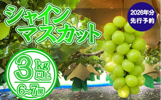 yʌzy2026N s\zVC}XJbgiRȏEU`V[j@VC }XJbg Ԃǂ uhE  t[c ʕ  R ܂Ȃ xm쒬Rxm