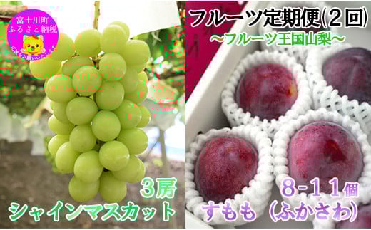 【2025年発送分】【フルーツ定期便】小林農園のシャインマスカット約2kg(3房)&【糖度16度以上】すもも『ふかさわ』(8〜11個入り/約1.3〜1.5kg) シャイン マスカット ぶどう ブドウ 葡萄 李