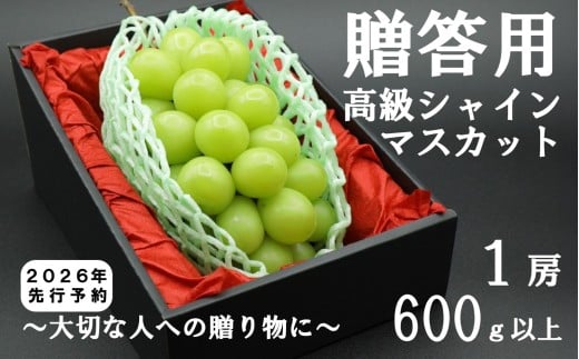 【令和8年度先行予約】贈答用!希少価値の高い高級シャインマスカット(1房 600g以上) シャイン シャインマスカット マスカット 葡萄 ぶどう ブドウ 果物 くだもの フルーツ 山