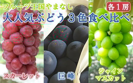 【2025発送分】【フルーツ王国山梨】3色ぶどう食べ比べセット(巨峰・シャインマスカット・スカーレット 各1房・約2.15kg) ぶどう 葡萄 ブドウ マスカット シャイン 赤ぶどう 黒ぶどう