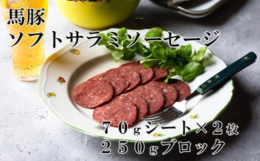 馬豚ソフトサラミソーセージ(70gシート×2枚&250gブロック×1個)  馬肉 豚肉 お肉 冷凍 山梨 やまなし 富士川町山梨県富士川町17000肉ジビエ