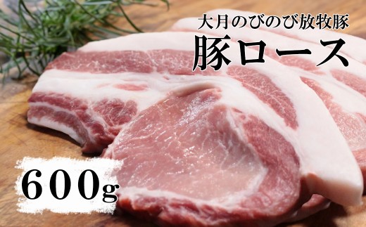 大月のびのび放牧豚【カツ・ステーキ用ロース】600g以上 (約150g×4)   豚肉 豚 ポーク ばら肉 小分け お肉 肉 山梨 やまなし 富士川町山梨県富士川町13000肉豚肉