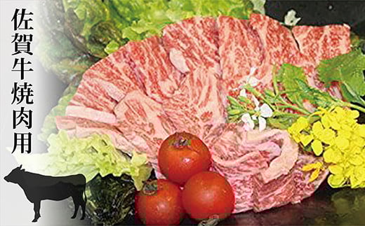 ꋍ Ă o[xL[ SĂ 500g | lC uh  a ꋍ Ă ē o[xL[  SĂ 500g _c-8ꌧvs24000