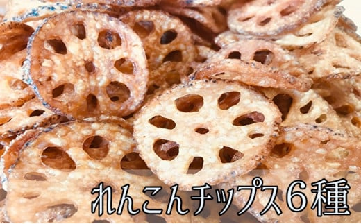 れんこん チップス 6種 詰め合わせ 各種40g プレーン 塩 カレー コンソメ サワークリーム のり塩 6種 各種40g _b-161佐賀県多久市12000菓子・スイーツ煎餅・おかき