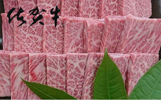 佐賀牛 A5 カルビ 焼肉 500g 牛肉 国産 和牛 _z-75佐賀県多久市18000肉牛肉