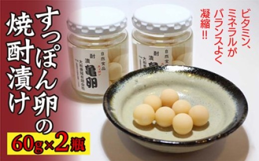 ۂ   ĒЂ 60g × 2r Xb| ܂ UO×Qr _b-308ꌧvs14000ECY̑ ECY