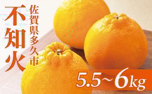 y 3珇 z ʌ sm ʂ L 5.5`6kg i 1 250g`300g j | R_̕sm k T.T`U _b-120ꌧvs10000ʕEt[c݂Ek