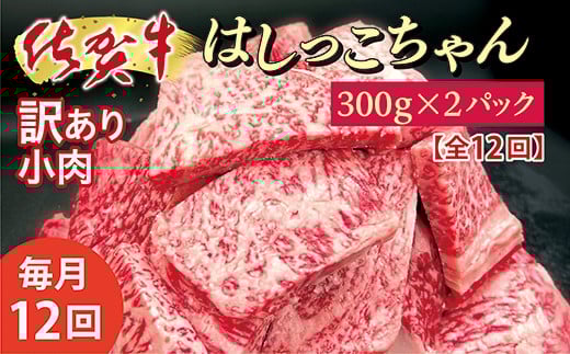 【毎月お届け】訳あり 佐賀牛 小肉「はしっこちゃん」300g×2パック 全12回 定期便 毎月配送 牛肉 端切れ フードロス対策 _f-80佐賀県多久市156000肉牛肉
