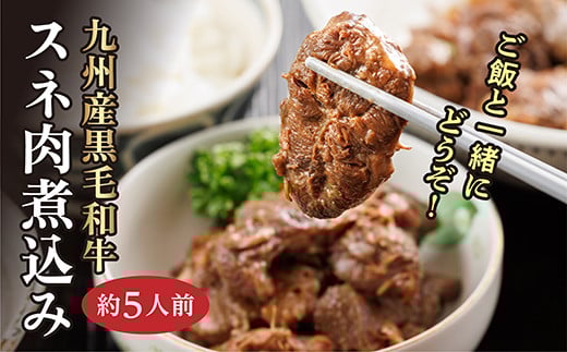 九州産 黒毛和牛 スネ肉 煮込み (約5人前) | 和牛 牛 牛肉 _c-119佐賀県多久市24000肉牛肉